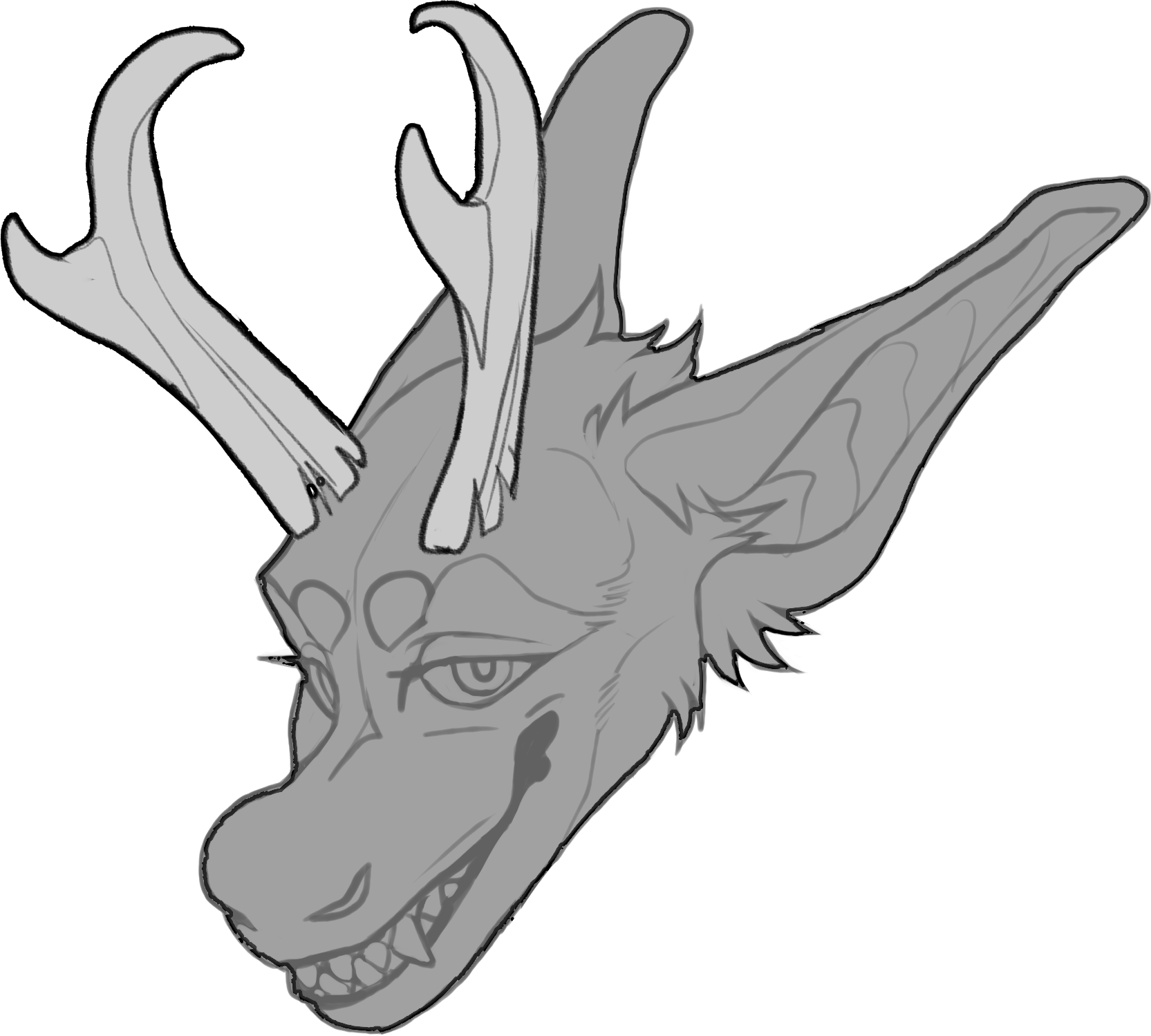 Pronghorn — Horn Shape