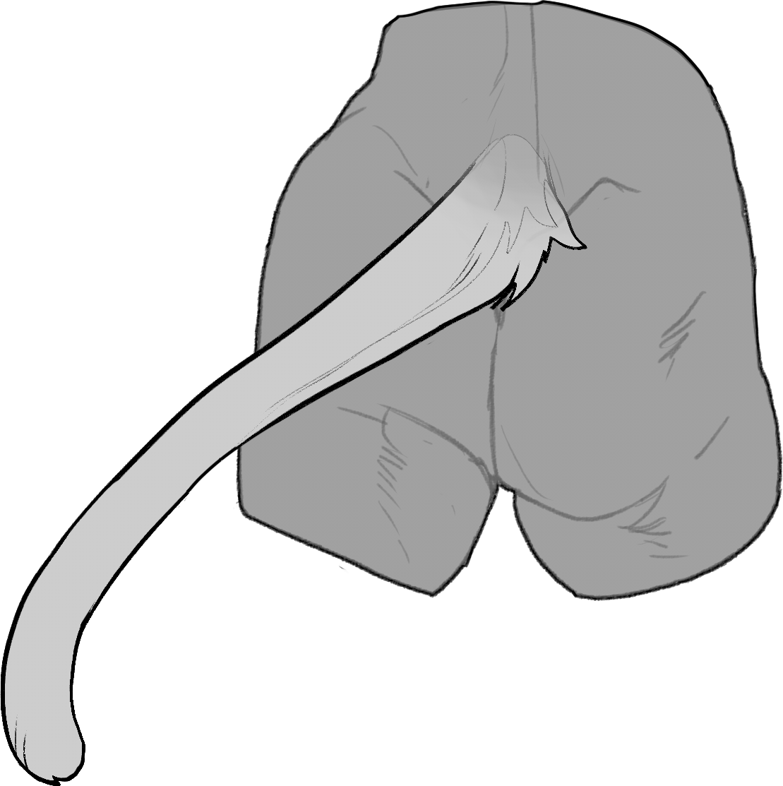 Rounded — Tail Type