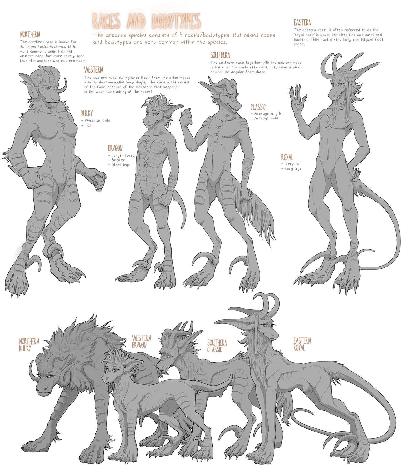 The four Arcanus races and four body types combined reference