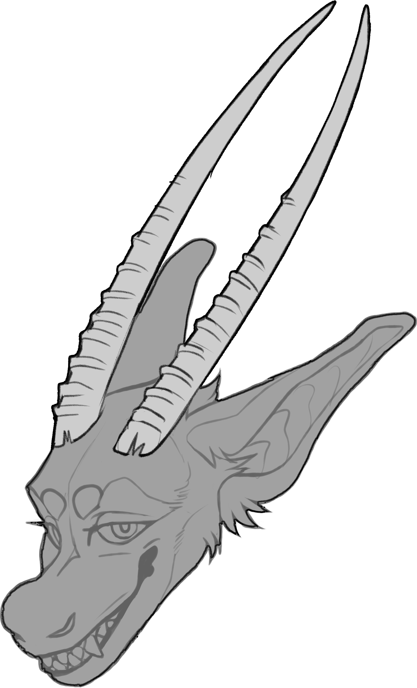 Gemsbok — Horn Shape