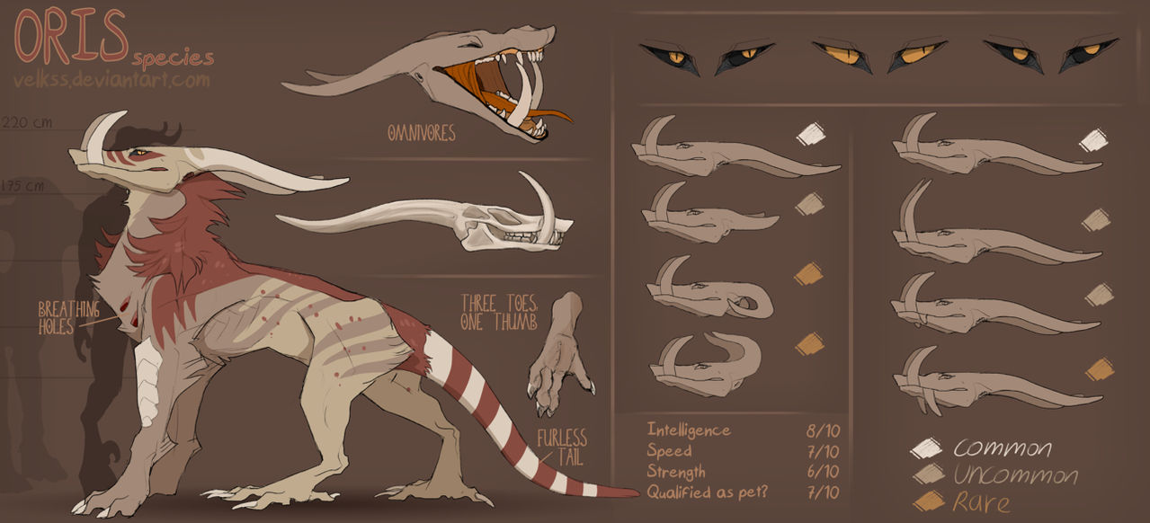 Oris — species reference