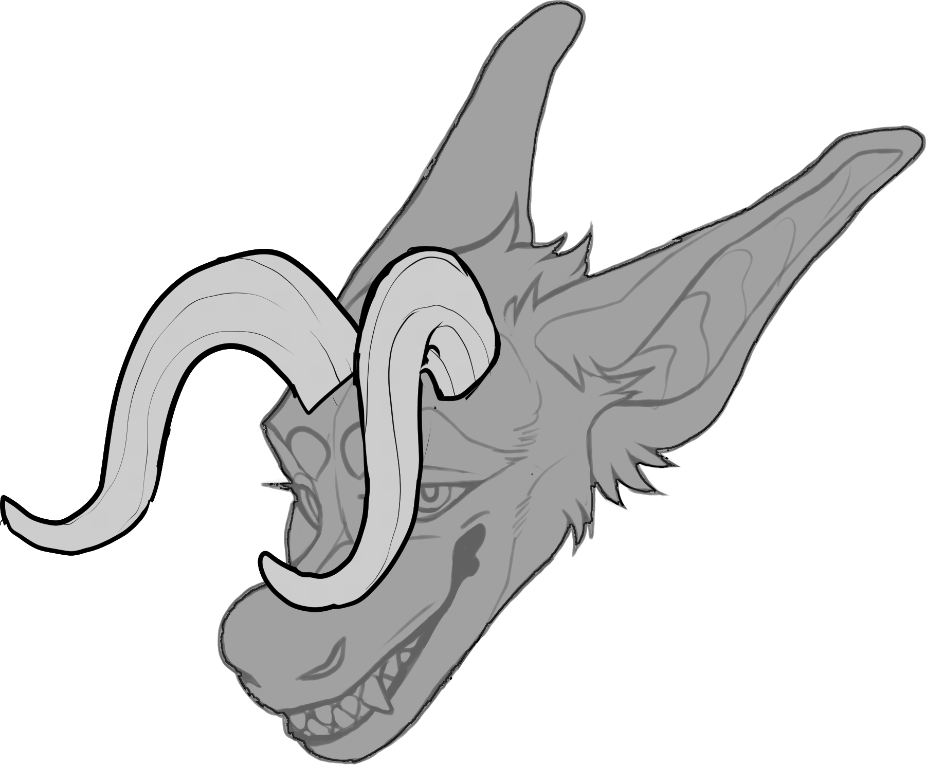 Whorl — Horn Shape