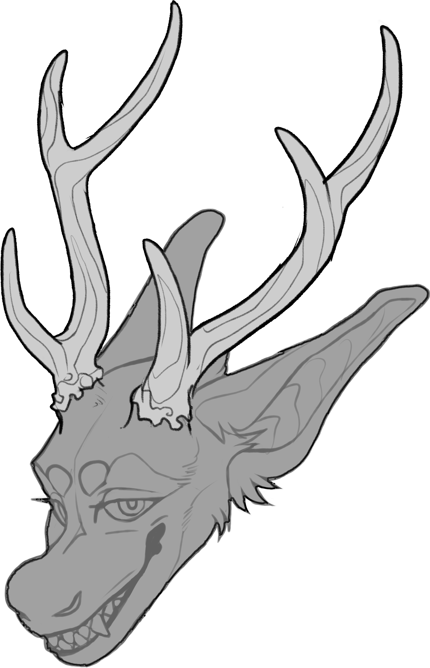 Sambar Deer — Horn Shape
