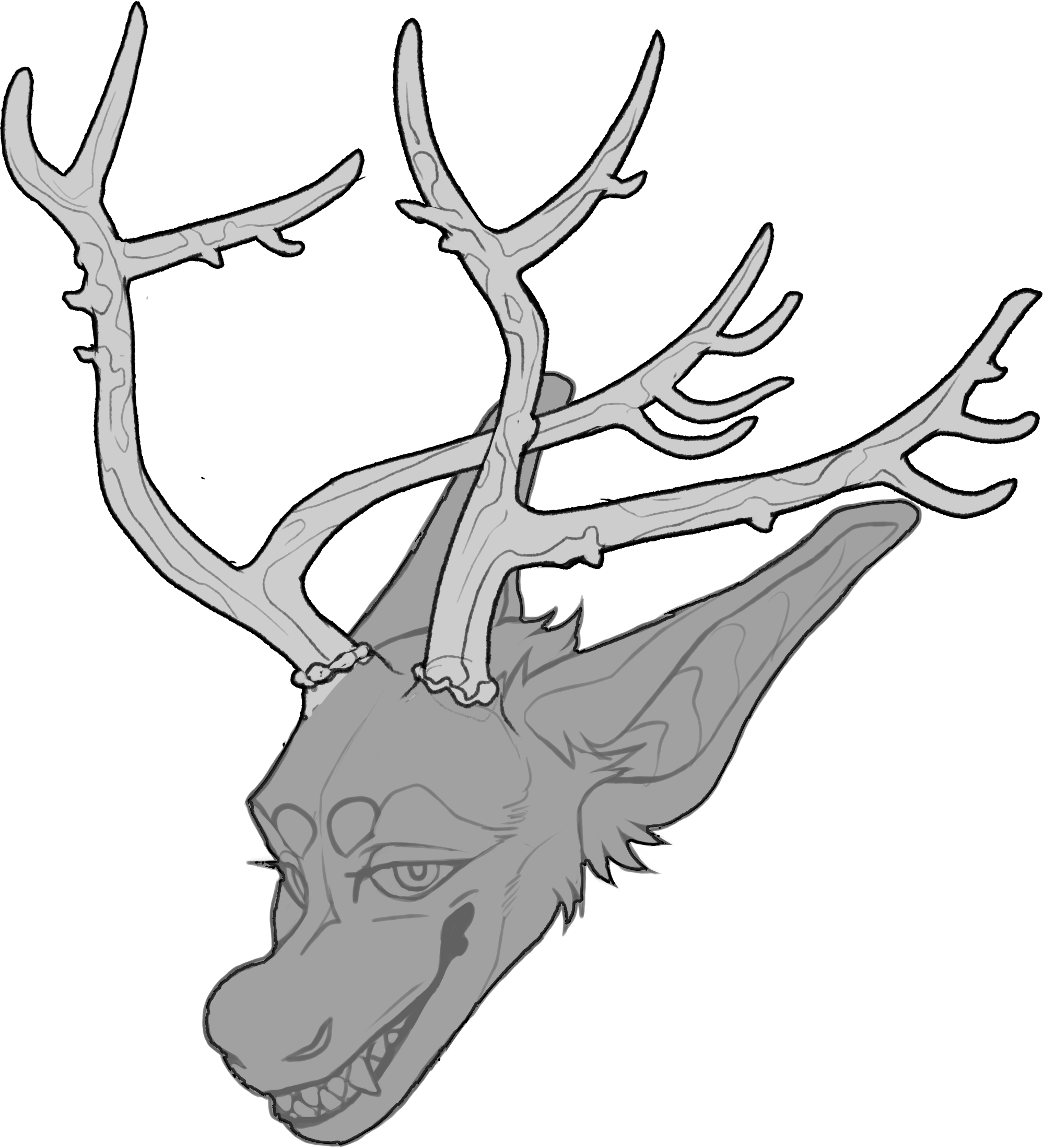 Père David's Deer — Horn Shape