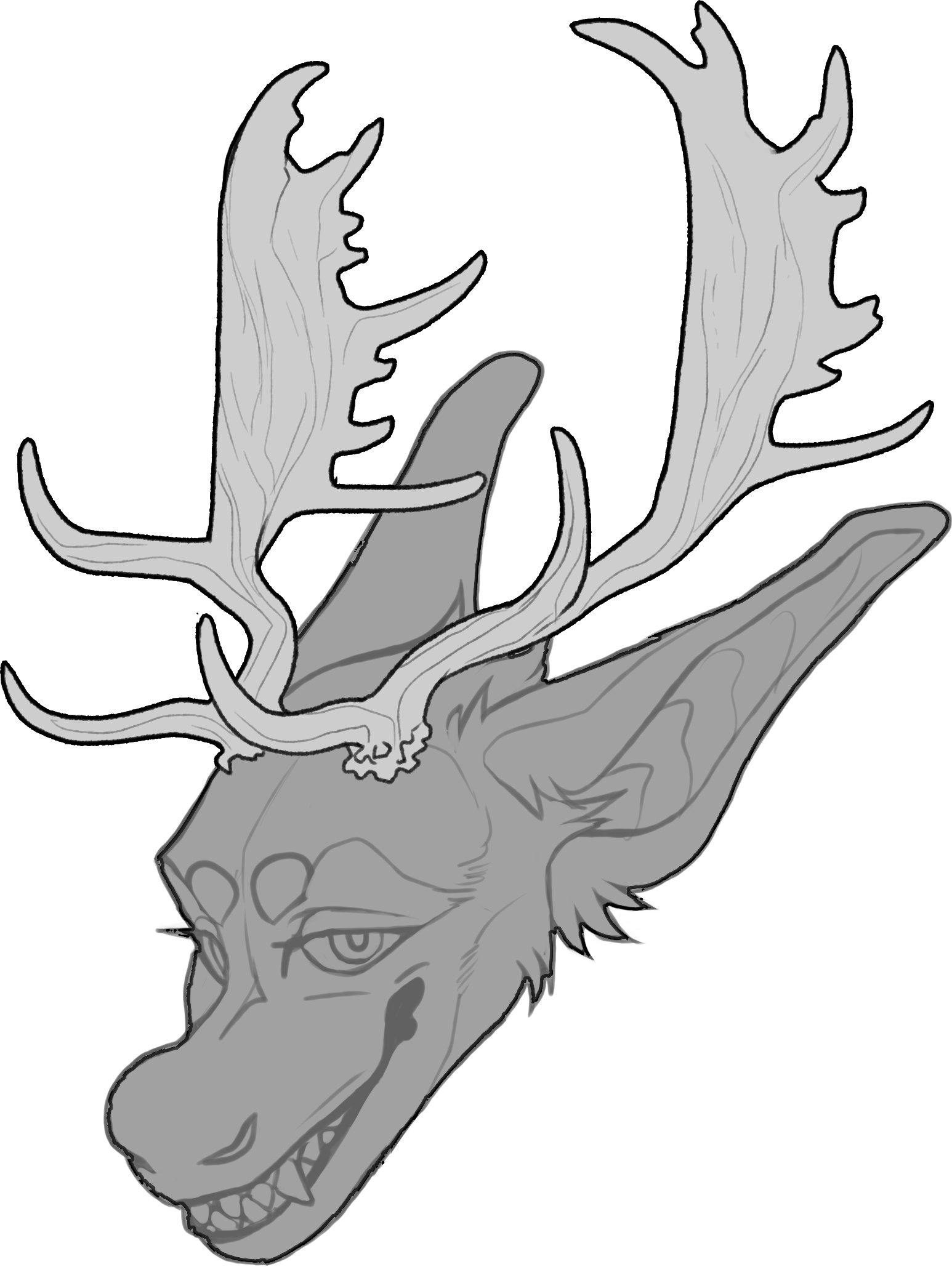 Fallow Deer — Horn Shape
