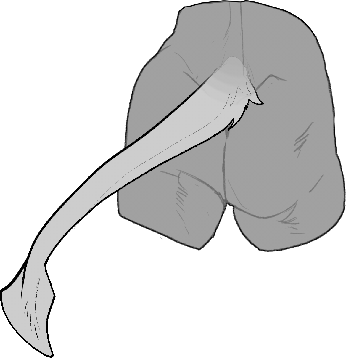 Spade — Tail Type