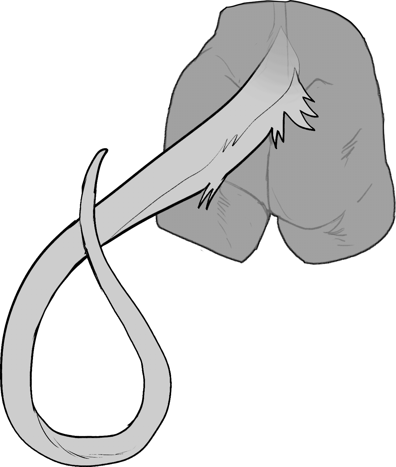 Extra Long — Tail Size