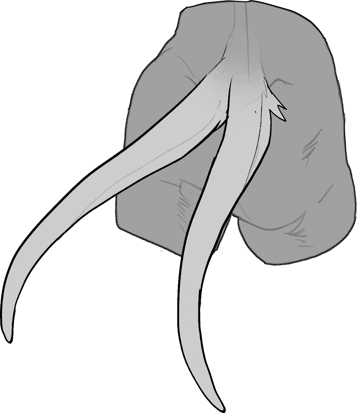 Double — Tail Type