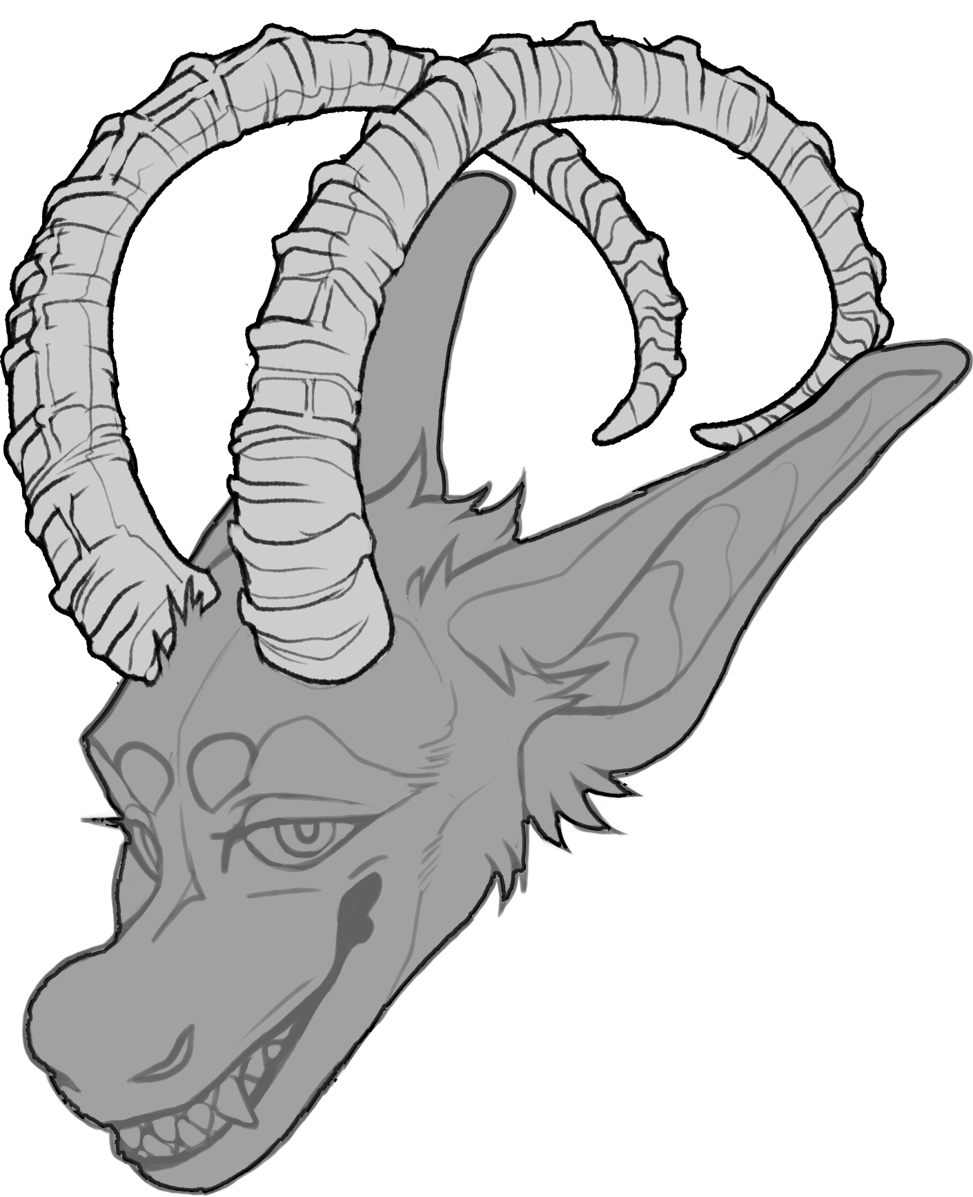Ibex — Horn Shape