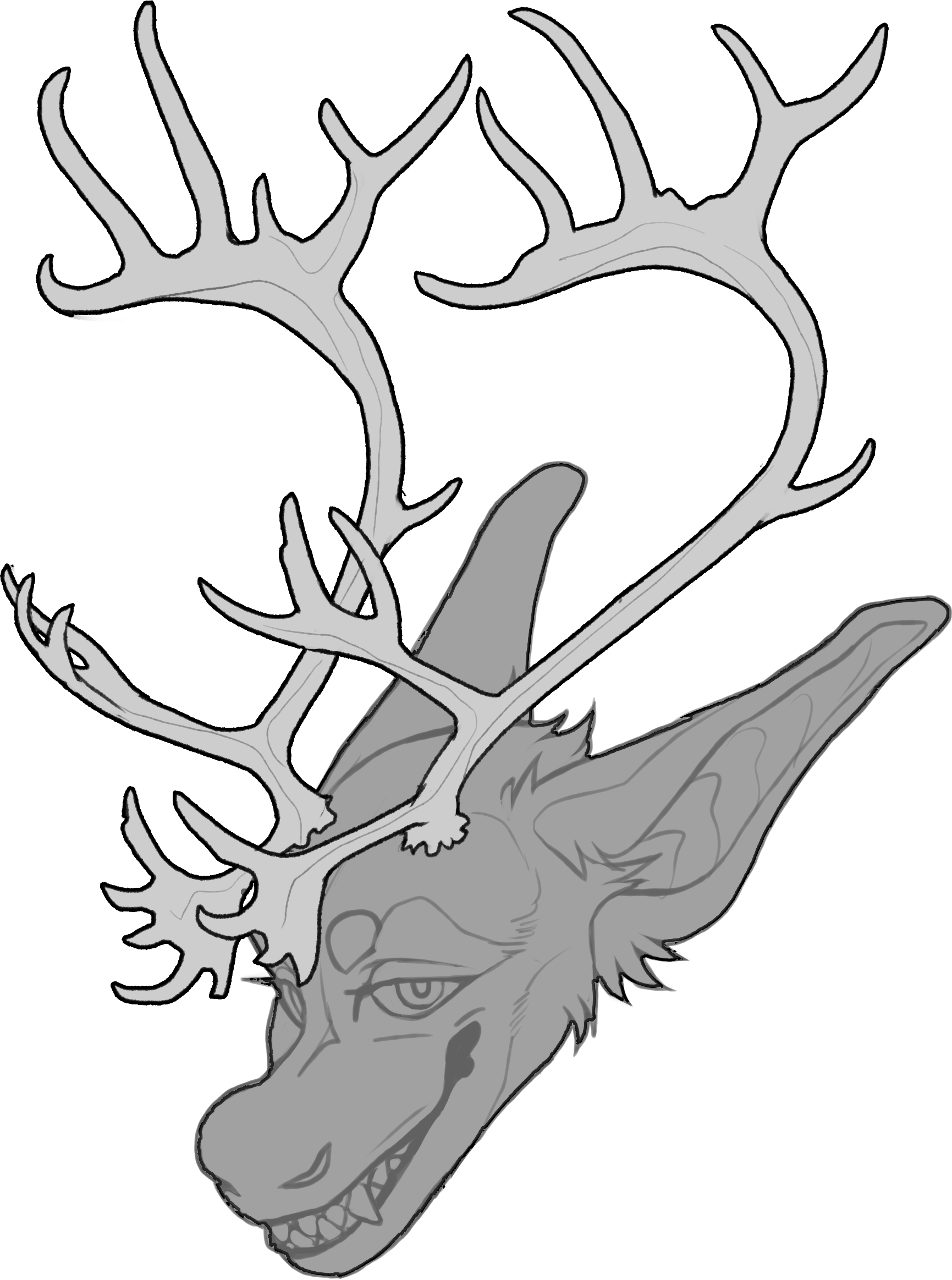 Caribou — Horn Shape